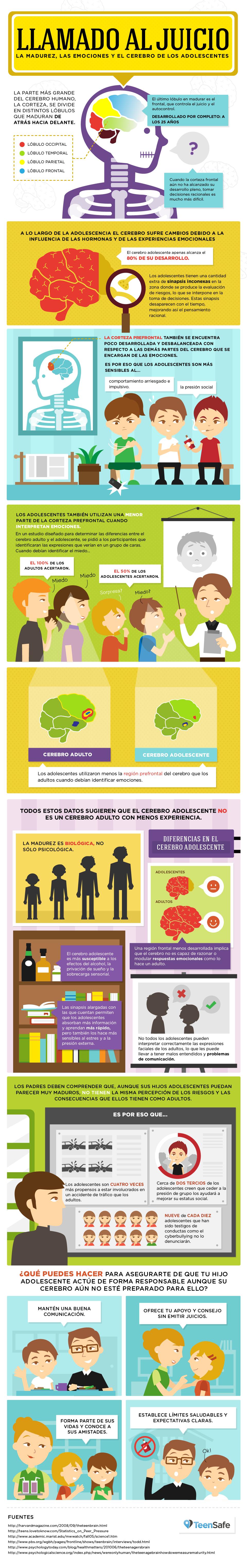 infografía sobre el cerebro de los adolescentes