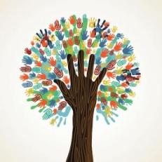 educacion y democracia