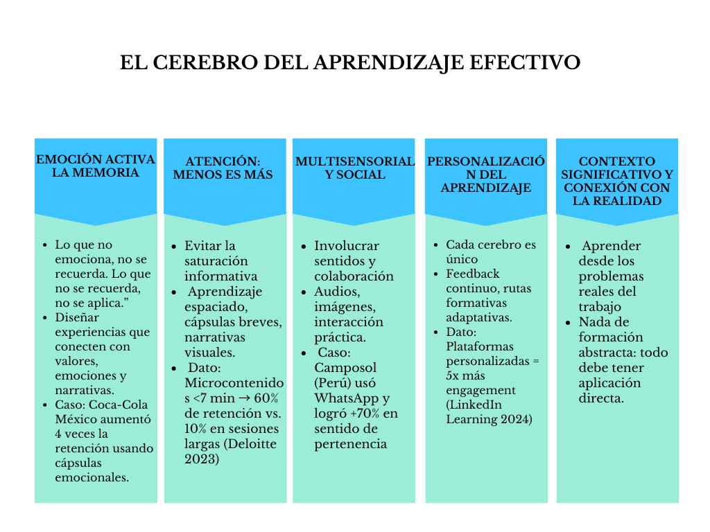 alt=" "
Tabla el cerebro del aprendizaje efectivo