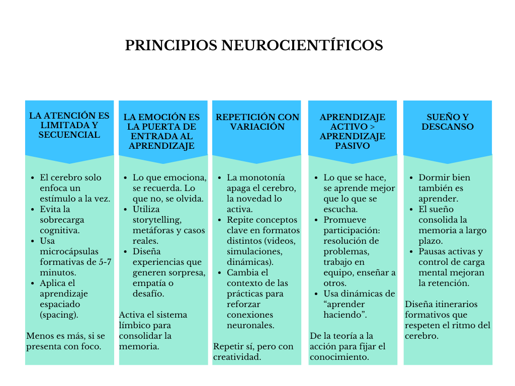 alt=" "
Tabla principios neurocientíficos