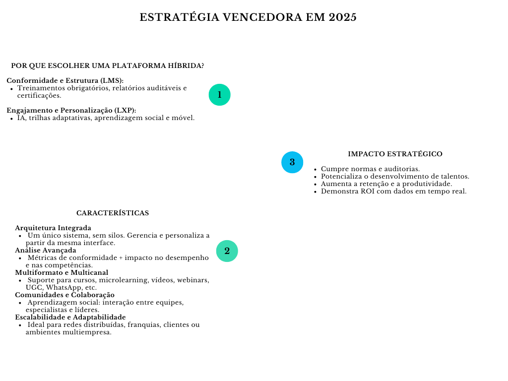 Diagrama estratégia vencedora em 2025